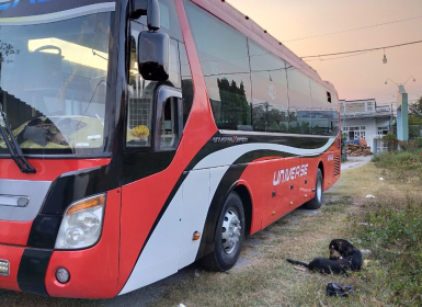 Cho Thuê Xe 45 Chỗ Ở Thuận An Bình Dương: Tiện Ích Và An Toàn