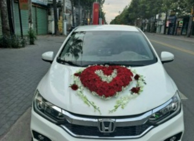 Bảng Giá Thuê Xe Hoa Cưới Ở Bến Cát Bình Dương - Chất Lượng Và Uy Tín Từ Đại Đồng Đen